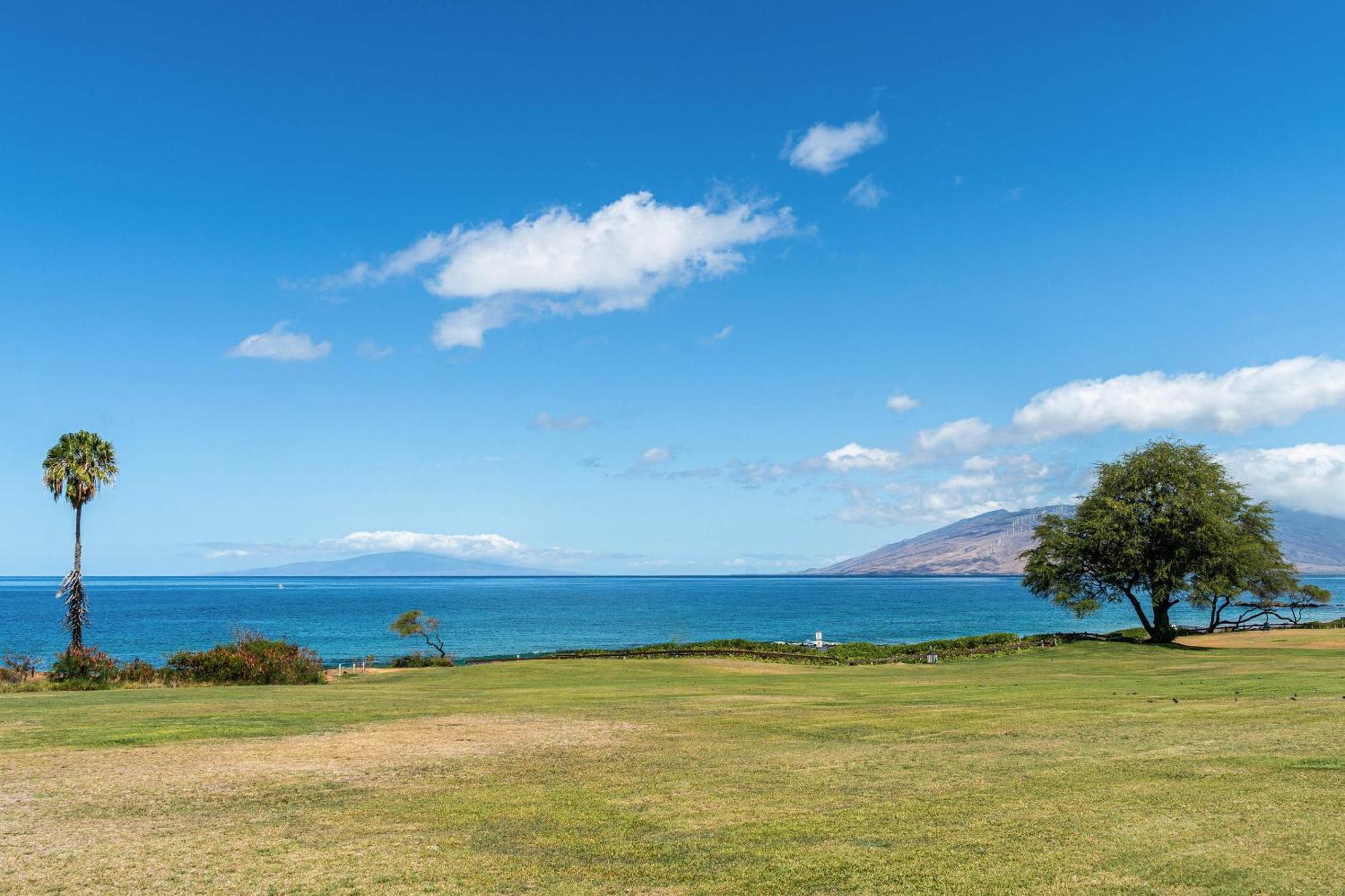 Pacific Shores A-209 Kihei Dış mekan fotoğraf
