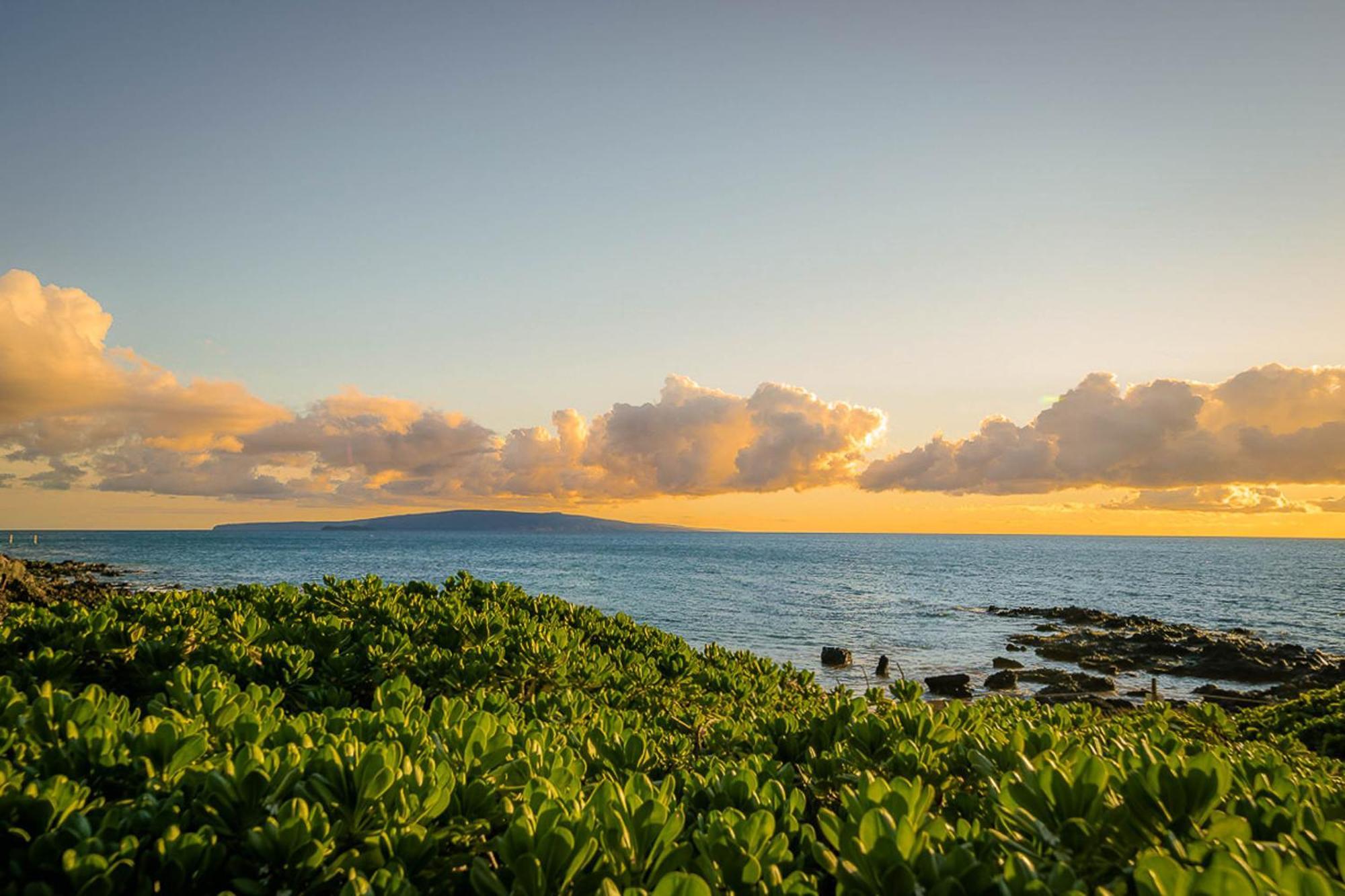Pacific Shores A-209 Kihei Dış mekan fotoğraf